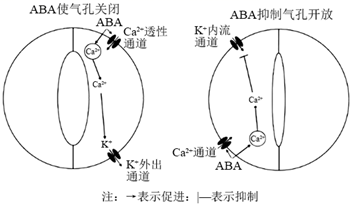 图片_x0020_100011