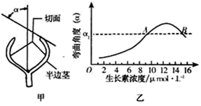 图片_x0020_100021