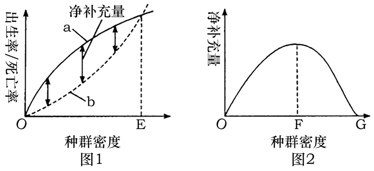 图片_x0020_100003