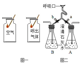 图片_x0020_1099427493