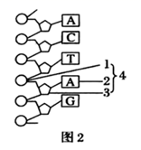 图片_x0020_100016