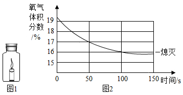 图片_x0020_100017
