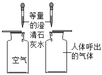 图片_x0020_1729805014