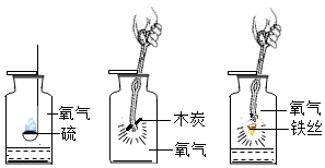 图片_x0020_1763464548