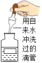图片_x0020_100002