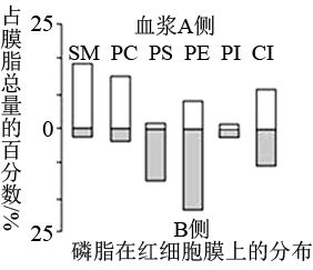 图片_x0020_100015