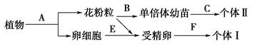 图片_x0020_100005