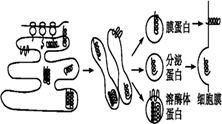 图片_x0020_100006