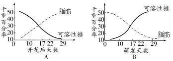 图片_x0020_100001