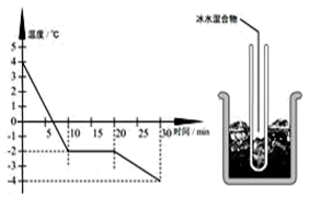 图片_x0020_100029