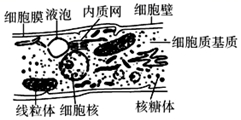 图片_x0020_100015