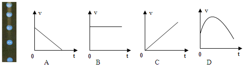 图片_x0020_100015