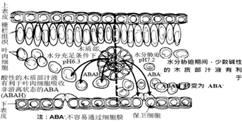 图片_x0020_100010