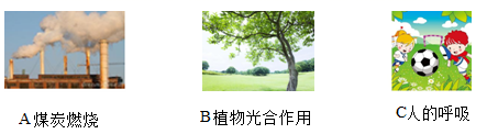 图片_x0020_1725982392
