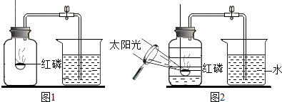 图片_x0020_1797553283