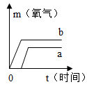 图片_x0020_100005