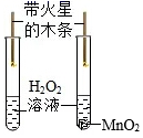 图片_x0020_305625414