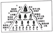 图片_x0020_100011