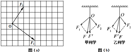 图片_x0020_812911171