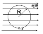 图片_x0020_100013