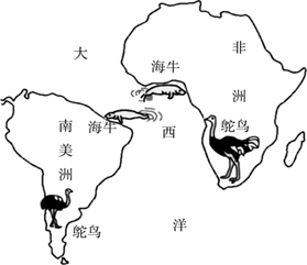 图片_x0020_100006