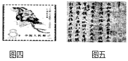 图片_x0020_100022