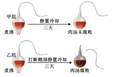 图片_x0020_100005
