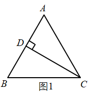 图片_x0020_1321428591