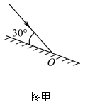 图片_x0020_100016