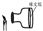 图片_x0020_100010