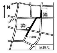 图片_x0020_1130265154