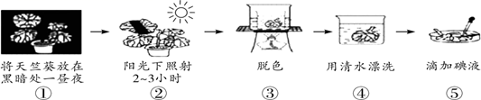 图片_x0020_100004