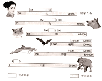 图片_x0020_100019