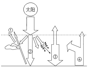 图片_x0020_1