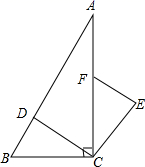 图片_x0020_100019