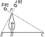 图片_x0020_100008