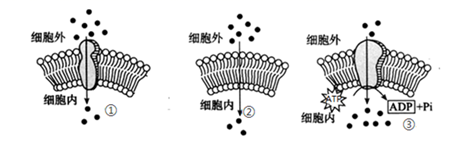 图片_x0020_100012