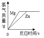 图片_x0020_1278631311