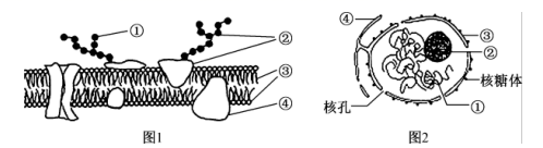 图片_x0020_100017