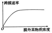 图片_x0020_1841894701