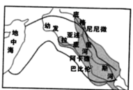 图片_x0020_100006