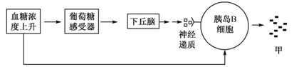 图片_x0020_100003