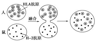 图片_x0020_100010