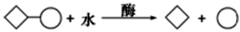 图片_x0020_100004