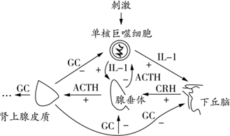 图片_x0020_100010