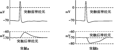 图片_x0020_100005
