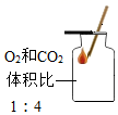 图片_x0020_1553793413