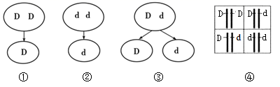 图片_x0020_100001