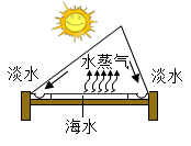 图片_x0020_100029