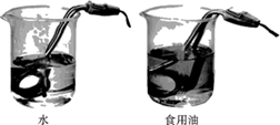 图片_x0020_753059095